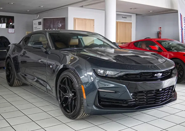 borek wielkopolski Chevrolet Camaro cena 169900 przebieg: 51601, rok produkcji 2020 z Borek Wielkopolski